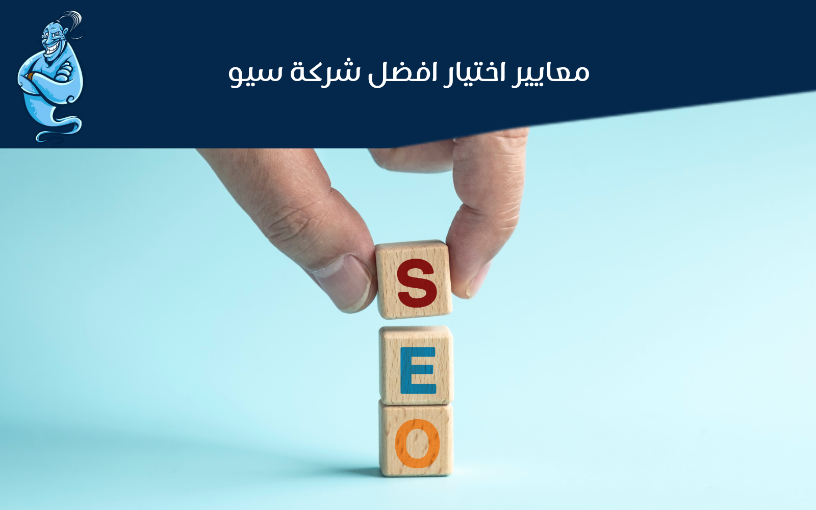 شركة seo