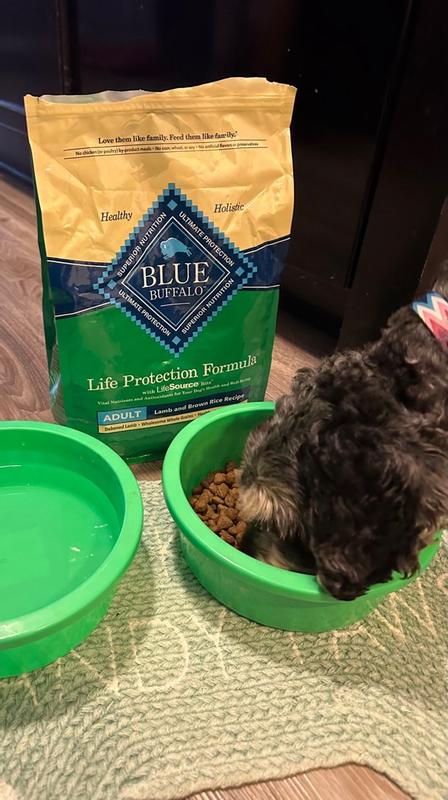 Blue Buffalo Life Protection Review: Unbiased Verdict