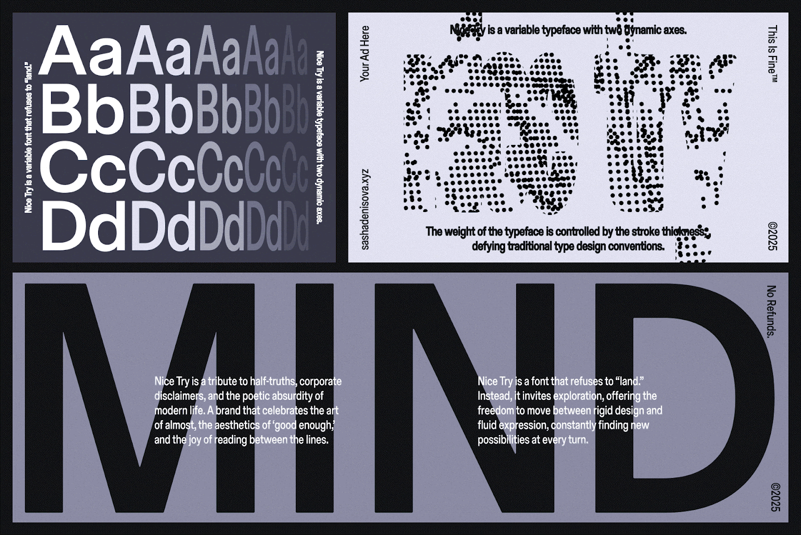 Image from the Blurring Lines: Nice Try's Branding & Variable Type article on Abduzeedo