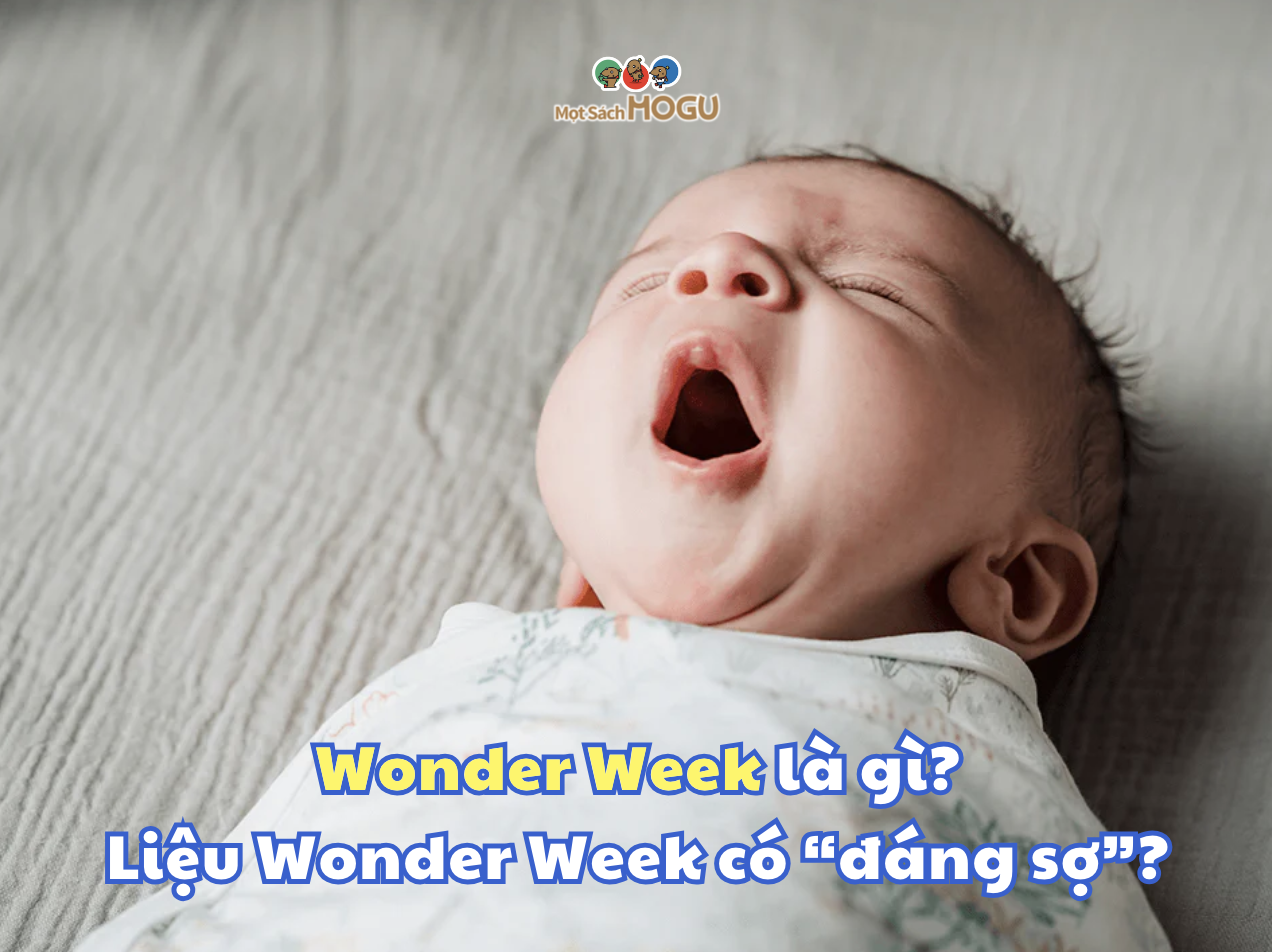 Wonder Week là gì?