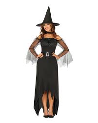 Magical Vintage Witch Ladies Costume ...