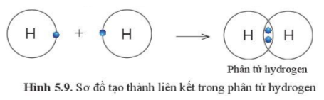 BÀI 5. GIỚI THIỆU VỀ LIÊN KẾT HÓA HỌC MỞ ĐẦUCâu hỏi: Trong điều kiện thường, nguyên tử của các nguyên tố khí hiếm tồn tại độc lập vì có lớp electron ngoài cùng bền vững. Nguyên tử của các nguyên tố khác luôn có xu hướng tham gia liên kết để có được lớp electron ngoài cùng bền vững tương tự khí hiếm. Vậy liên kết giữa các nguyên tử được hình thành như thế nào?Đáp án chuẩn:Hình thành nhờ vào sự góp chung electron, nhường hoặc nhận electron để đạt cấu hình electron bền vững của khí hiếm.I. ĐẶC ĐIỂM CẤU TẠO VỎ NGUYÊN TỬ KHÍ HIẾMCâu 1: Quan sát hình 5.1 hãy cho biết số electron ở lớp ngoài cùng của vỏ nguyên tử khí hiếmĐáp án chuẩn:Đều có 8 electron (trừ He là 2 electron).Tìm hiểu thêm: Helium được phát hiện vào năm 1868, khi các nhà khoa học nhận thấy một nguyên tố chưa được biết đến trong quang phổ ánh sáng từ Mặt Trời. Helium được đặt theo tên của thần Mặt Trời – Helios (theo tiếng Hy Lạp). Tuy nhiên, phải thới năm 1895, các nhà khoa học mới thu được helium trong quá trình xử lí quặng uranium. Mặc dù trong vũ trụ, helium là khí phổ biến thứ hai sau khí hydrogen, nhưng trên Trái Đất khí helium tương đối hiếm. Hãy tìm hiểu một số ứng dụng của helium trong thực tiễnĐáp án chuẩn:Bảo vệ các mối hàn tốt, tránh oxy hoá, han gỉ, làm sạch bồn chứa, làm chất bán dẫn…II. LIÊN KẾT ION1. Sự tạo thành liên kết trong phân tử sodium chlorideCâu 2: Quan sát hình 5.2 và 5.3, cho biết lớp vỏ của các ion Na+ , Cl- tương tự vỏ nguyên tử của nguyên tố khí hiếm nào?Đáp án chuẩn:- Lớp vỏ ion Na+ tương tự Ne.- Lớp vỏ ion Cl- tương tự Aron.Câu 3: Quan sát hình 5.2, hãy so sánh về số electron, số lớp electron giữa nguyên tử Na và Na+Đáp án chuẩn:Nguyên tử Na đã mất đi 1 electron để tạo thành ion Na+Câu hỏi 1: Số electron ở lớp ngoài cùng của nguyên tử K và F lần lượt là 1 và 7. Hãy cho biết khi K hết hợp với F để tạo thành phân tử potassium fluoride, nguyên tử K cho hay nhận bao nhiêu electron. Vẽ sơ đồ tạo thành liên kết trong phân tử potassium fluorideĐáp án chuẩn:- Nguyên tử K cho đi 1 electron.- Sơ đồ:2. Sự tạo thành liên kết trong phân tử magnesium oxideCâu 4: Quan sát hình 5.5 và 5.6 và cho biết các ion Mg2+ và O2- có lớp vỏ tương đương khí hiếm nào?Đáp án chuẩn:Tương đương Ne.Câu 5: Quan sát hình 5.5 hãy so sánh về số electron, số lớp electron giữa nguyên tử Mg và ion Mg2+Đáp án chuẩn:Số electron và số lớp electron của nguyên tử Mg nhiều hơn ion Mg2+Câu hỏi 2: Nguyên tử Ca có 2 electron ở lớp ngoài cùng. Hãy vẽ sơ đồ tạo thành liên kết khi nguyên tử Ca kết hợp với nguyên tử O tạo ra phân tử calcium oxideĐáp án chuẩn:- Nguyên tử Ca cho đi 2 electron lớp ngoài cùng => Ca2+. Nguyên tử O nhận 2 electron từ nguyên tử Ca => O2-.- Sơ đồ:Câu hỏi 3: Nguyên tử K kết hợp với nguyên tử Cl tạo thành phân tử potassium chloride. Theo em, ở điều kiện thường, potassium chloride là chất rắn, chất lỏng hay chất khí? Vì sao?Đáp án chuẩn:Potassium chloride là chất rắn ở điều kiện thường.III. LIÊN KẾT CỘNG HOÁ TRỊ1. Sự tạo thành liên kết trong phân tử hydrogenCâu 6: Quan sát hình 5.9 , hãy cho biết nguyên tử H trong phân tử Hydrogen có lớp vỏ tương tự khí hiếm nào?Đáp án chuẩn:Heli.Câu hỏi 4: Hai nguyên tử Cl liên kết với nhau tạo thành phân tử chlorinea) Mỗi nguyên tử Cl cần thêm bao nhiêu electron vào lớp ngoài cùng để có lớp vỏ tương tự khí hiếmb) Hãy vẽ sơ đồ tạo thành liên kết trong phân tử chlorineĐáp án chuẩn:a) Nhận thêm 1 electron vào lớp vỏ ngoài cùng.b) Sơ đồ:2. Sự tạo thành liên kết trong phân tử nướcCâu 7: Quan sát hình 5.10, trong phân tử nước, mỗi nguyên tử H và O có bao nhiêu electron ở lớp ngoài cùngĐáp án chuẩn:Nguyên tử H có 2 electron, O có 8 electron ở lớp ngoài cùng.Câu hỏi 5: Mỗi nguyên tử H kết hợp với 1 nguyên tử Cl tạo thành phân tử hydrogen chloride. Hãy vẽ sơ đồ tạo thành phân tử hydrogen chloride từ nguyên tử H và nguyên tử ClĐáp án chuẩn:Sơ đồ:Câu hỏi 6: Mỗi nguyên tử N kết hợp với 3 nguyên tử H tạo thành phân tử ammonia. Hãy vẽ sơ đồ tạo thành liên kết trong phân tử ammonia.Đáp án chuẩn:Sơ đồ:3. Sự tạo thành liên kết trong phân tử carbon dioxideCâu 8: Quan sát hình 5.11, hãy cho biết trong phân tử khí carbon dioxide, nguyên tử cacbon có bao nhiêu electron dùng chung với nguyên tử OĐáp án chuẩn:4 electron Câu hỏi 7: Hai nguyên tử N kết hợp với nhau tạo thành phân tử nitrogen. Hãy vẽ sơ đồ tạo thành liên kết trong phân tử nitrogen Đáp án chuẩn:Sơ đồ:VẬN DỤNG