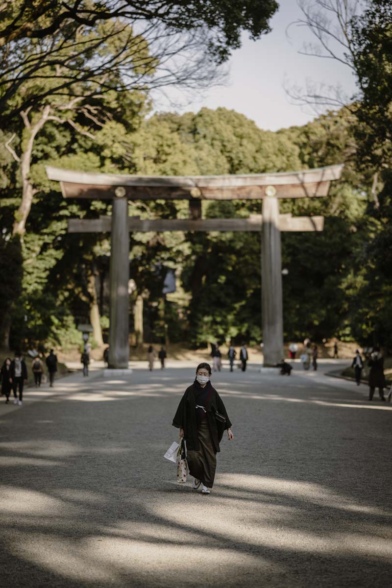 El santuario Meiji Jingu durante la hora dorada demuestra una iluminación y sincronización perfectas para sesiones de fotografía tradicional japonesa.