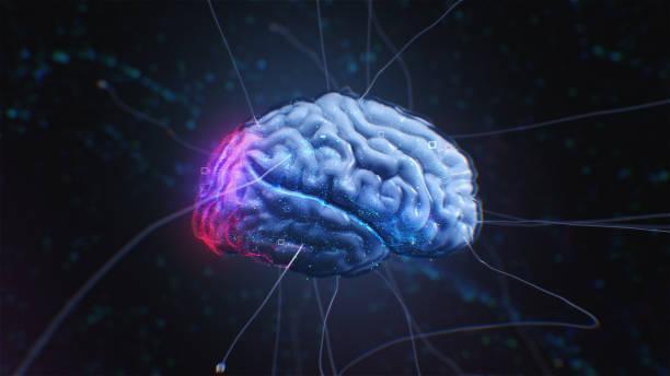 3D animated brain with luminous neural pathways against a dark background, illustrating complex neural activity and cognitive processes. Artificial intelligence 3D animated brain with luminous neural pathways against a dark background, illustrating complex neural activity and cognitive processes. Artificial intelligence Neurofeedback Devices stock pictures, royalty-free photos & images