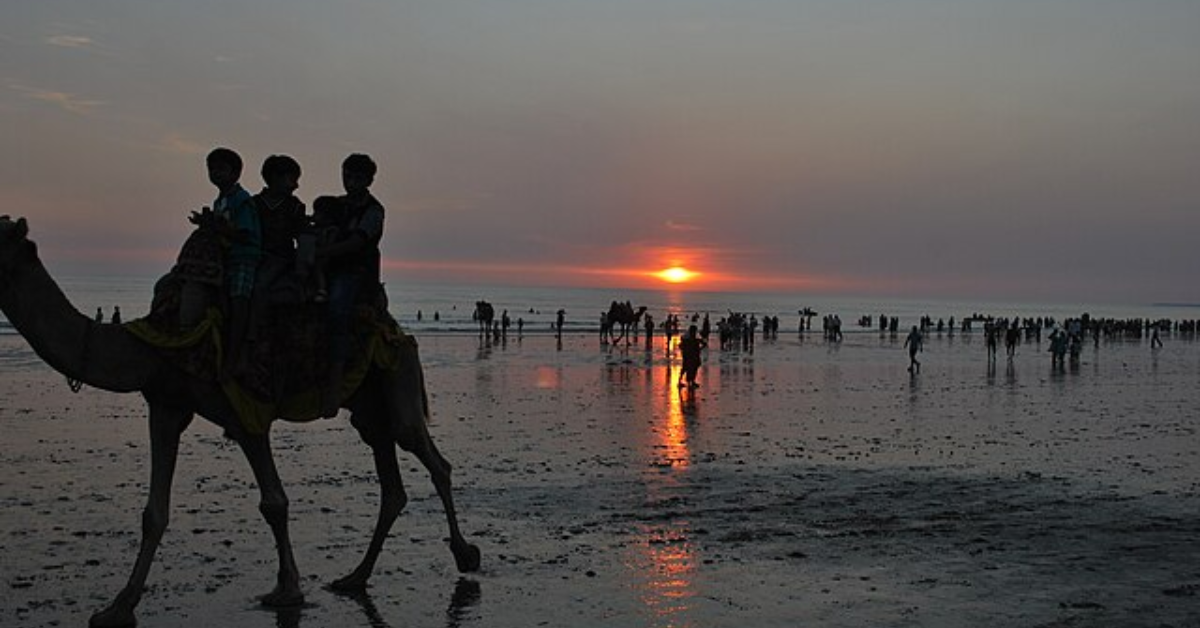 Camel Rides
