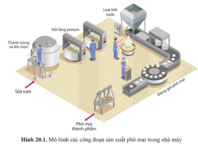 BÀI 20 - THÀNH TỰU CỦA CÔNG NGHỆ VI SINH VẬT VÀ ỨNG DỤNG CỦA VI SINH VẬT