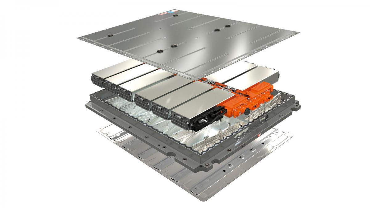 Internal parts of Nexus battery.