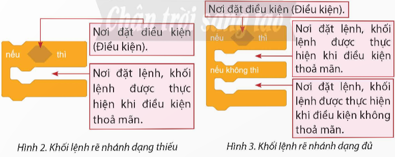 BÀI 10. CẤU TRÚC RẼ NHÁNH