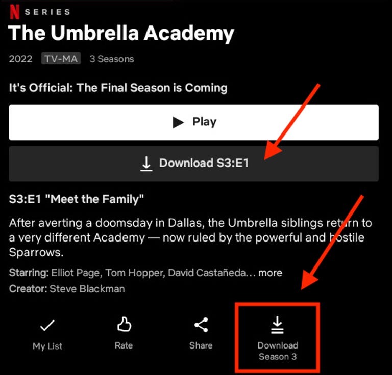 Travel Smart, How To Watch Netflix On Travel? - Mr. Acuity News - 3