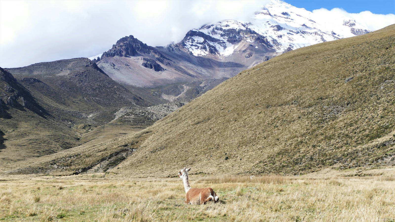 Chimborazo, que visiter à Rio Bamba 