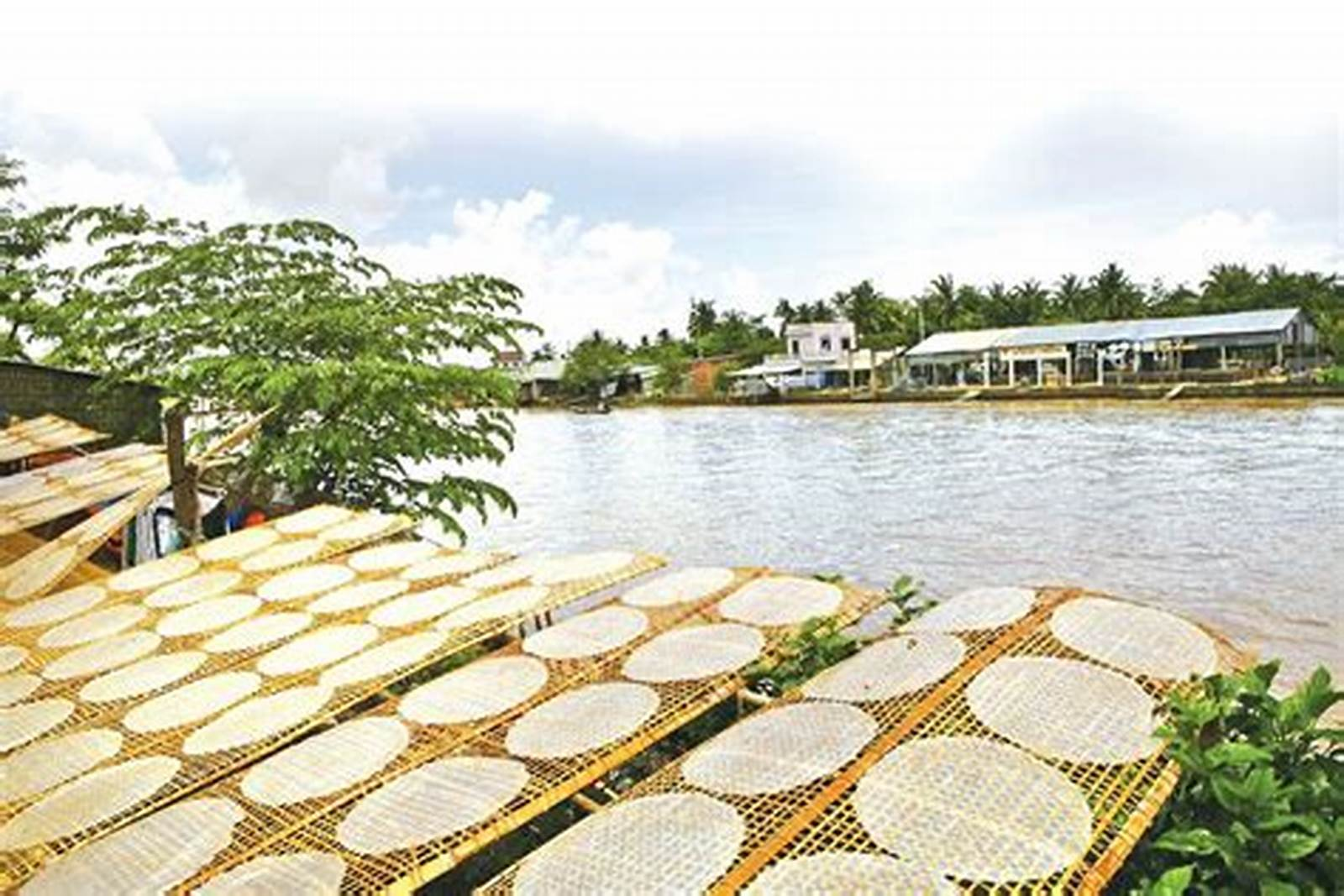 banh-trang-phoi-suong