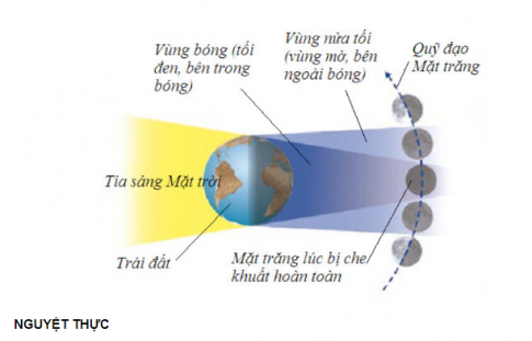 BÀI 44: CHUYỂN ĐỘNG NHÌN THẤY CỦA MẶT TRĂNG1. ÁNH SÁNG CỦA MẶT TRĂNGCâu 1: Quan sát hình 44.1 và cho biết Mặt Trăng có phải tự phát ra ánh sáng hay không? Vì sao?Giải nhanh: Không. Vì nó chỉ phản chiếu lại ánh sáng của Mặt trời mà nó nhận được.Câu 2: Quan sát hình 44.2, em hãy cho biết tại sao chúng ta có thể nhìn thấy được Mặt TrăngGiải nhanh: Vì có ánh sáng từ Mặt trời chiếu tới Mặt trăng phản xạ xuống Trái Đất. 2. HÌNH DẠNG NHÌN THẤY CỦA MẶT TRĂNGCâu 1: Em hãy nêu các hình dạng nhìn thấy của Mặt trăng mà em biếtGiải nhanh: Trăng tròn, trăng khuyết, trăng bán nguyệt, trăng lưỡi liềm, không trăngCâu 2: Trong hình 44.4, em hãy chỉ ra bề mặt của Mặt Trăng được Mặt Trời chiếu sáng và phần bề mặt của Mặt Trăng mà ở Trái đất có thể nhìn thấyGiải nhanh: - Phần sáng đối diện với Mặt Trời.- Phần phản chiếu Mặt Trăng phản chiếu xuống Trái Đất.Câu 3: Với mỗi vị trí của Mặt Trăng trong hình 44.5, người trên Trái Đất quan sát thấy Mặt Trăng có hình dạng như thế nào? Chỉ ra sự tương ứng giữa mỗi vị trí với các hình dạng nhìn thấy của Mặt Trăng trong hình 44.3Giải nhanh: - Vị trí 1: Trăng bán nguyệt đầu tháng- Vị trí 2: Trăng lưỡi liềm đầu tháng- Vị trí 3: Không trăng- Vị trí 4: Trăng lưỡi liềm cuối tháng- Vị trí 5: Trăng bán nguyệt cuối tháng- Vị trí 6: Trăng khuyết cuối tháng- Vị trí 7: Trăng tròn- Vị trí 8: Trăng khuyết đầu tháng- Vị trí 1 và 5, 2 và 6, 3 và 7, 4 và 8 tương ứng.Câu 4: Chỉ ra sự giống nhau và khác nhau giữa Trăng bán nguyệt đầu tháng và Trăng bán nguyệt cuối thángGiải nhanh: - Giống: đều là trăng bán nguyệt- Khác nhau: Trăng bán nguyệt đầu tháng to dần khi tiến đến trăng tròn. Trăng tròn nhỏ dần khi tiến đến trăng bán nguyệt cuối tháng.Câu 5: Làm việc nhóm để chế tạo mô hình quan sát các hình dạng nhìn thấy của Mặt trăngGiải nhanh: Câu 6: Từ mô hình bên (hình 44.6), em hãy phát triển để có thể quan sát phần quả bóng được chiếu sáng tương ứng với các hình dạng nhìn thấy khác của Mặt TrăngGiải nhanh: Tiếp tục khoét các lỗ đối diện với 4 lỗ đã khoét.BÀI TẬP