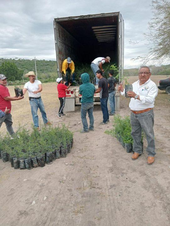 Un grupo de personas caminando en la tierra

Descripción generada automáticamente