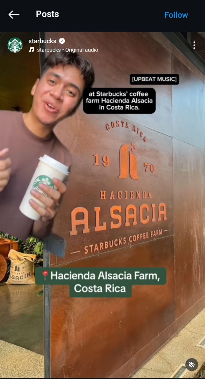 Starbucks tiktok