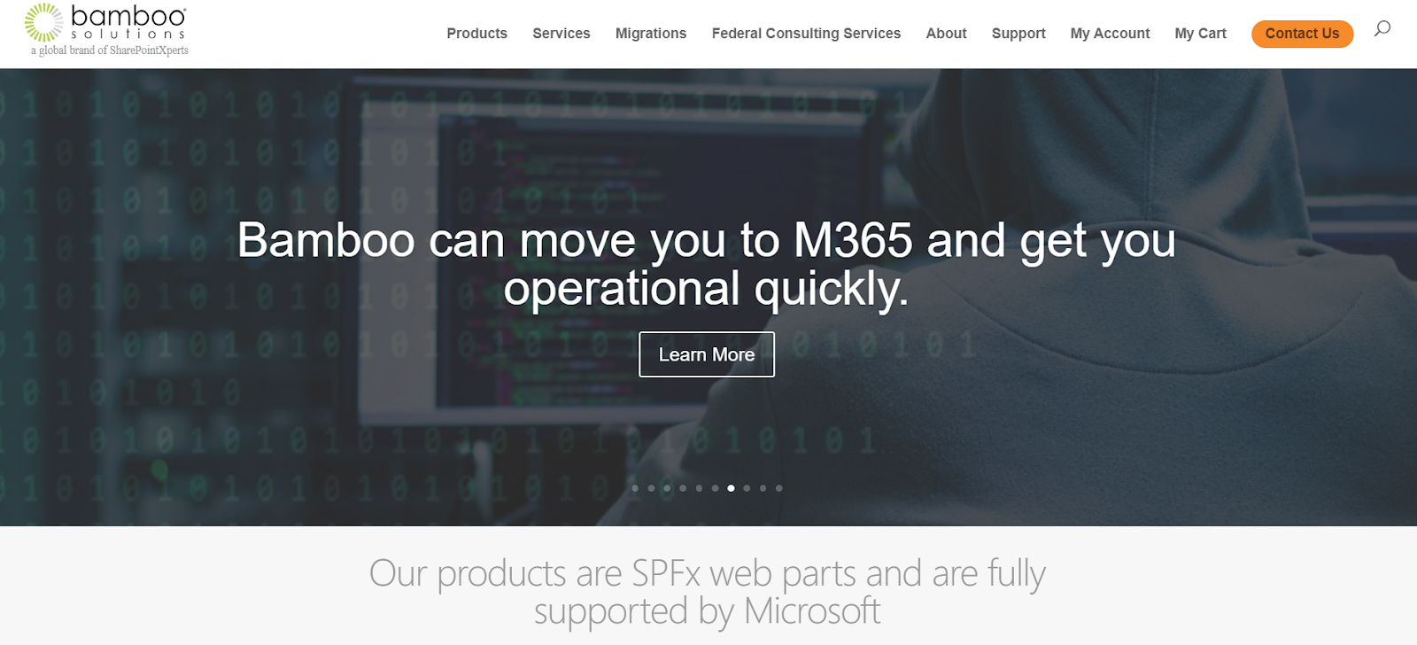 Bamboo Solutions is one of the best Microsoft 365 consulting services for Federal consulting.