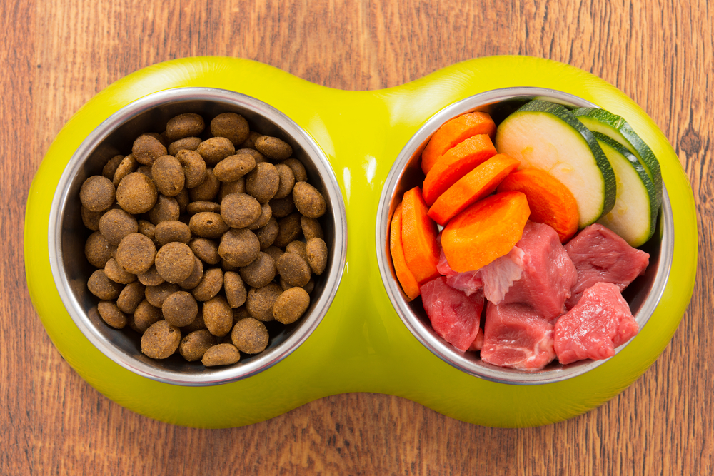 UK Raw Feeding Tips for Picky Dogs