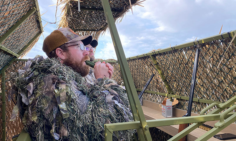 hunters inside blind calling ducks