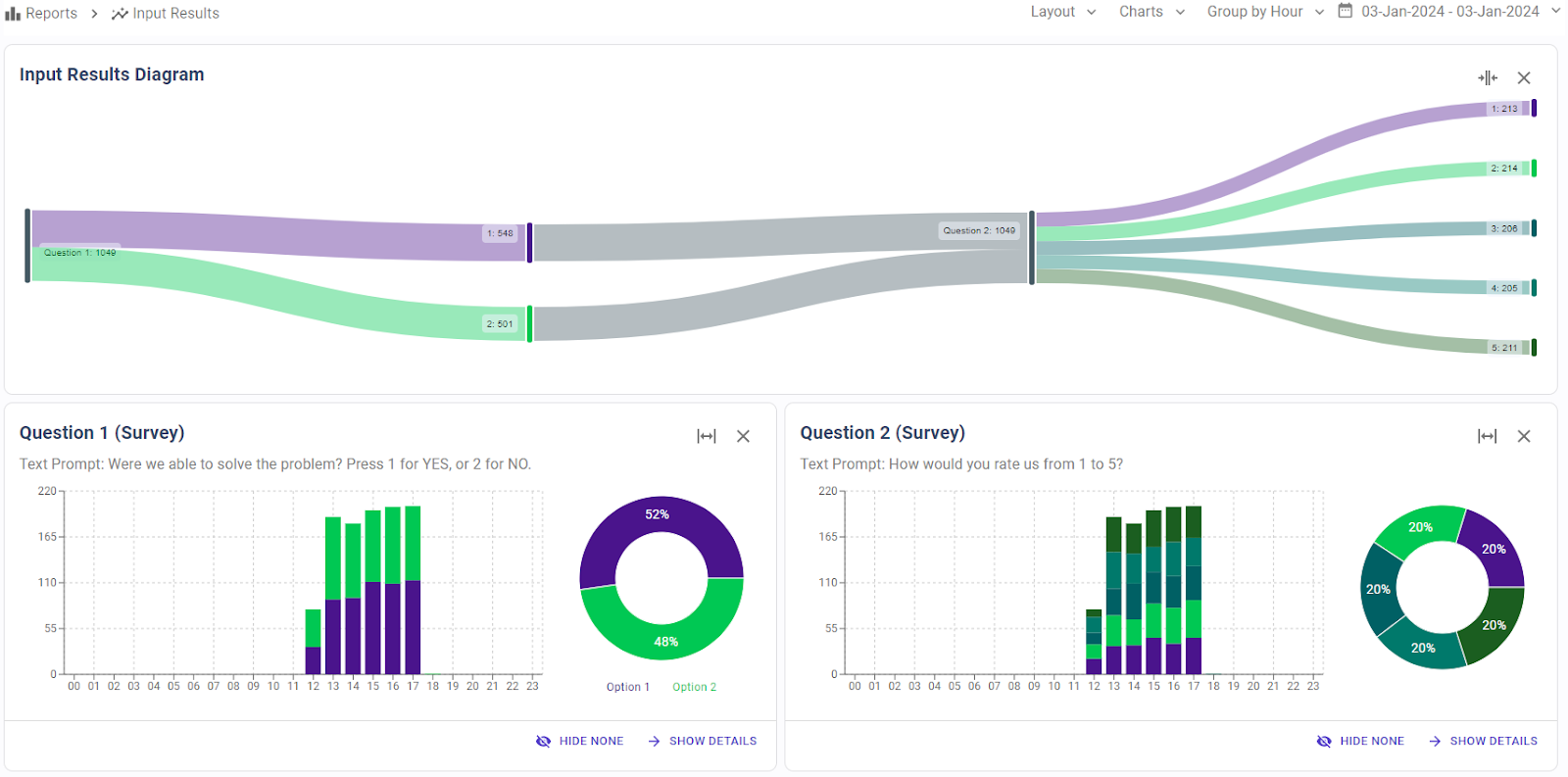 Input Results Report