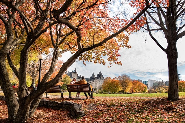 lively community, canada