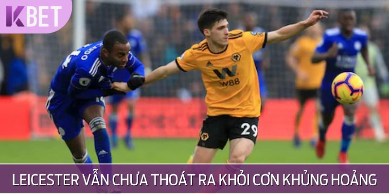 khủng hoàng của bầy cáo