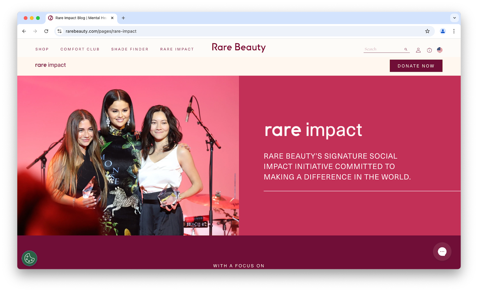 Image of Rare Beauty's rare impact page.