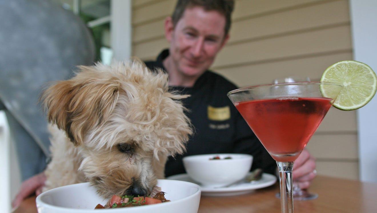 C:\Users\user\Downloads\Dog friendly restaurant.jpg