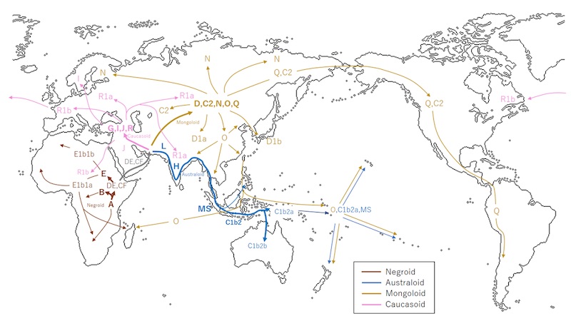 1280px-Y-DNA_haplogroup_migration copy