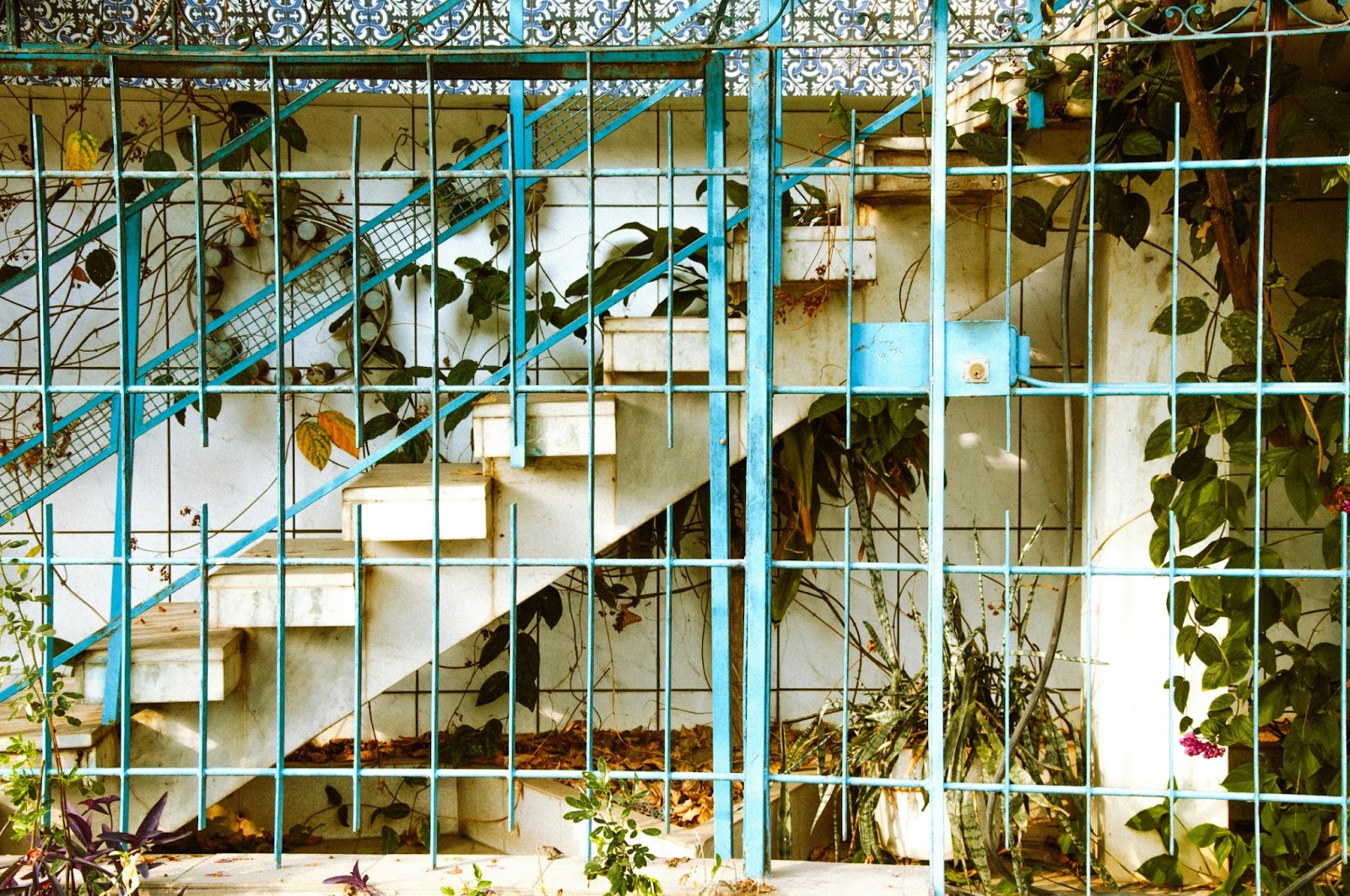 Garden Decor