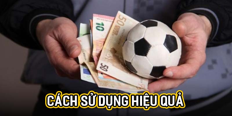 Cách sử dụng hiệu quả
