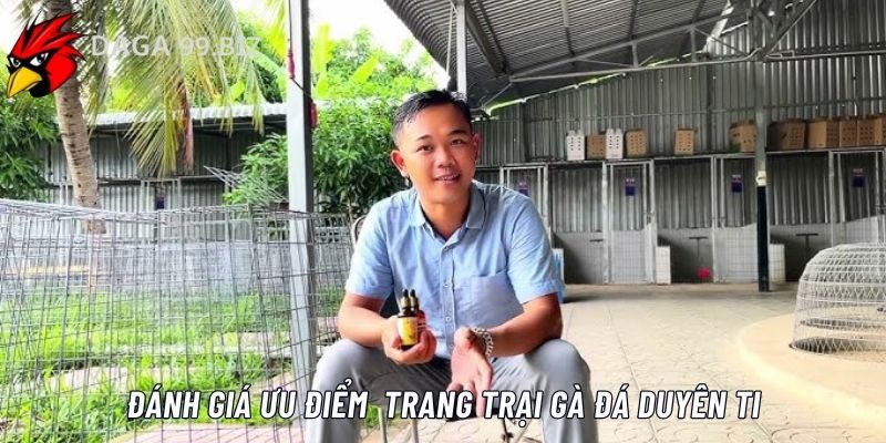 Những ưu điểm của trại gà đá Duyên Ti anh em nên biết