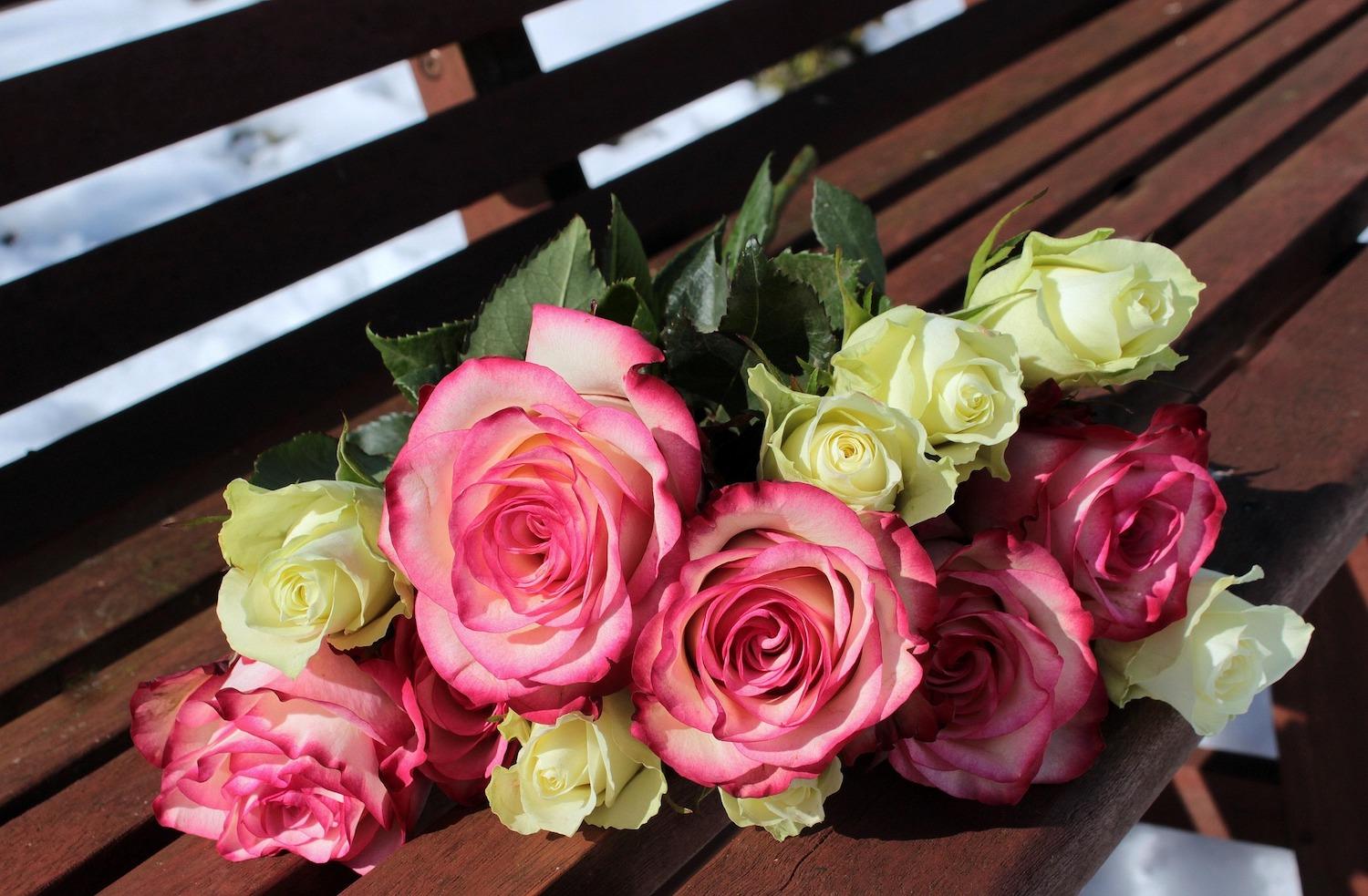 A bouquet of pink and white roses on a bench

Description automatically generated