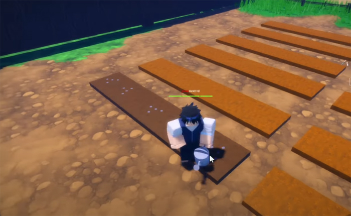 The Time of Ninja Watermelon Seed Guide
