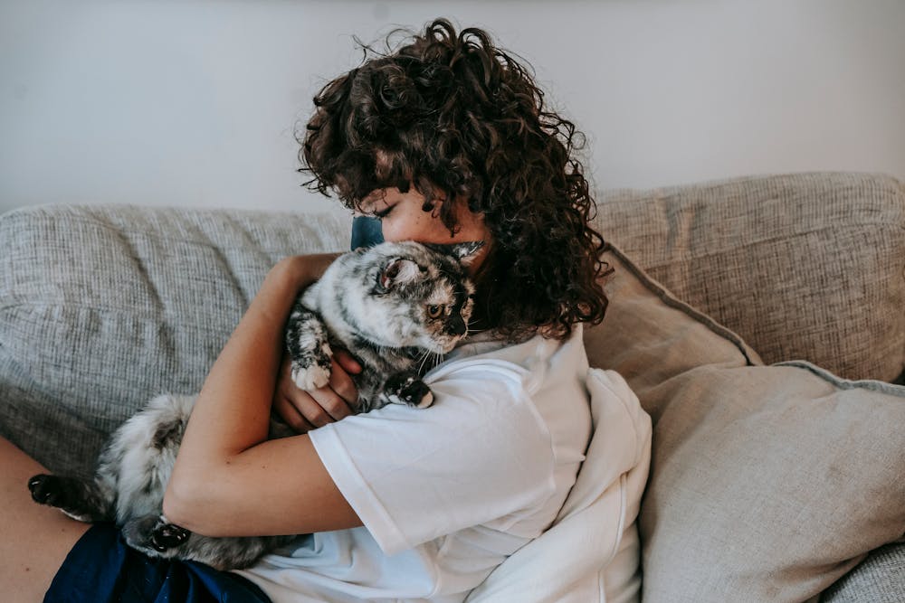 Young lady hugging cute kitty with closed eyes while relaxing on sofa