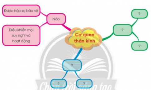 BÀI 25. ÔN TẬP CHỦ ĐỀ CON NGƯỜI VÀ SỨC KHỎE