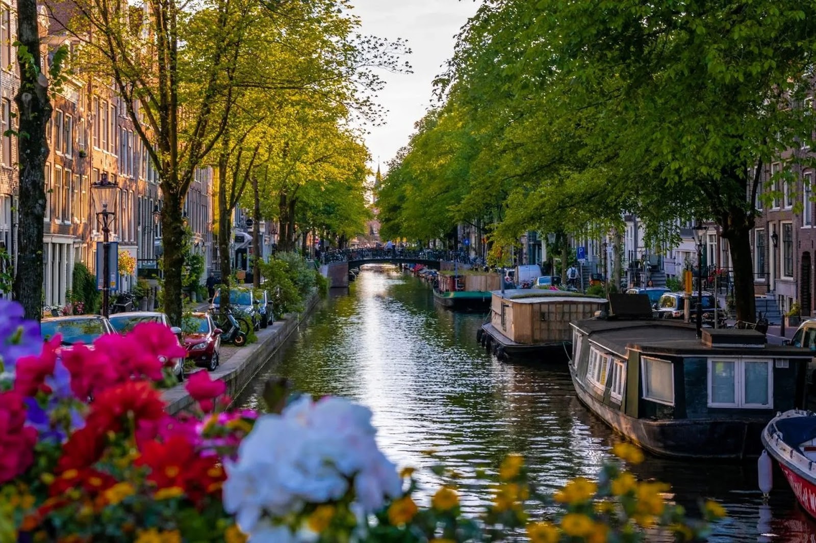 Stroll Through the Jordaan District