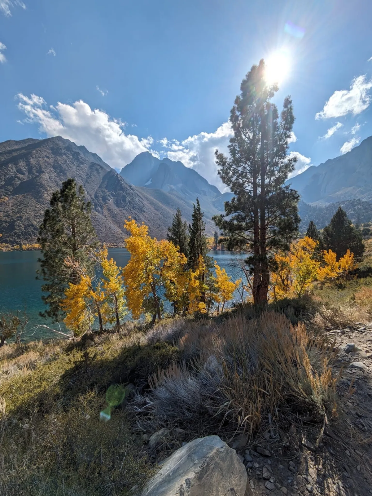 best road trip to see fall colors in california