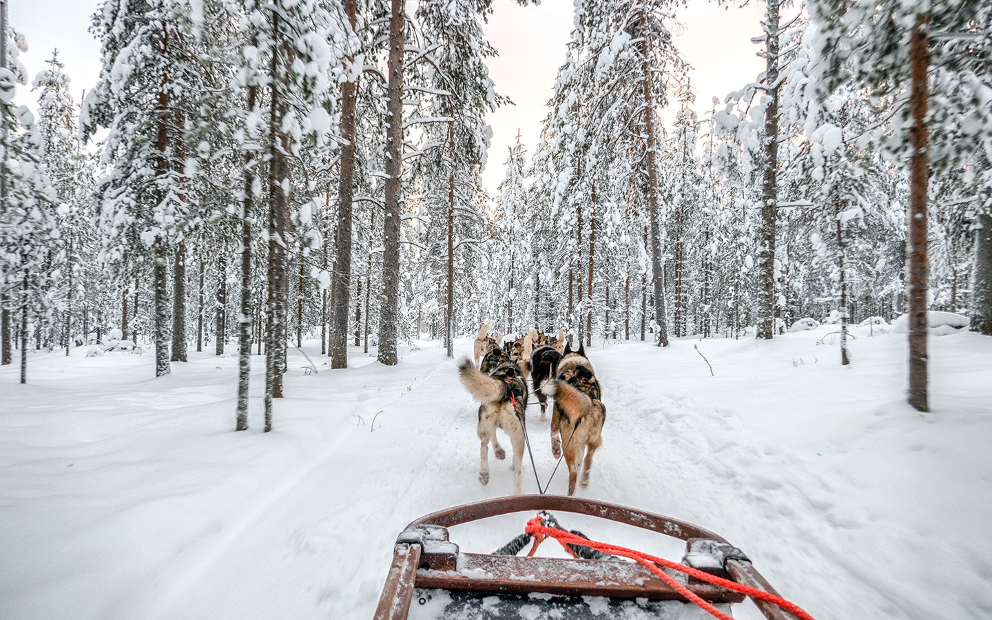 Best Places to Visit in December in Europe - Rovaniemi, Finland