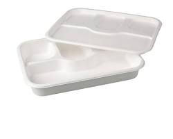 Image of Bagasse SingleUse Meal Tray