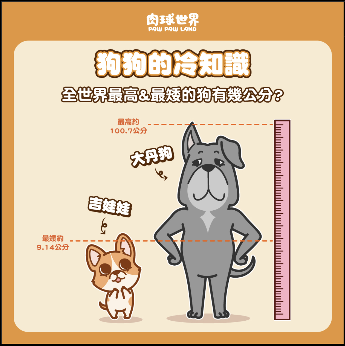 狗狗冷知識》全世界最高的狗大丹狗與最矮的狗吉娃娃，身高差幾公分？