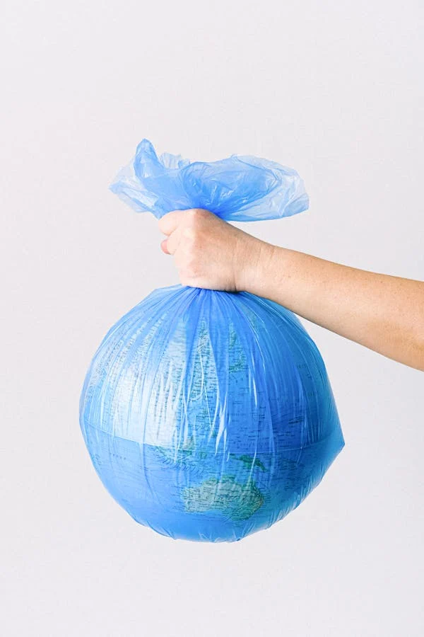Sustainability and Recycling