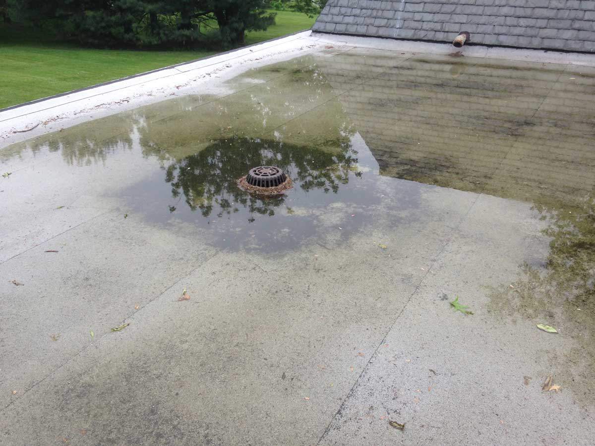 leaking flat roof