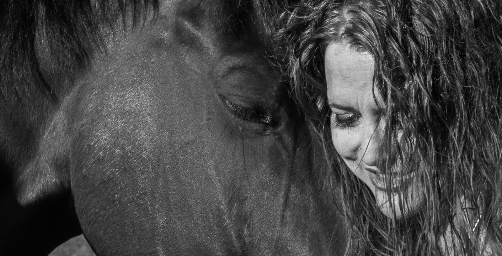 Black and white close up of Julie and Scout, photo by Stacey Lizette