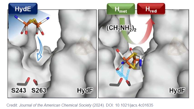 A close-up of a model of a molecule

Description automatically generated