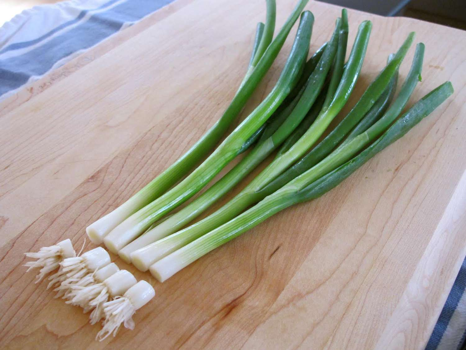 Growing scallions