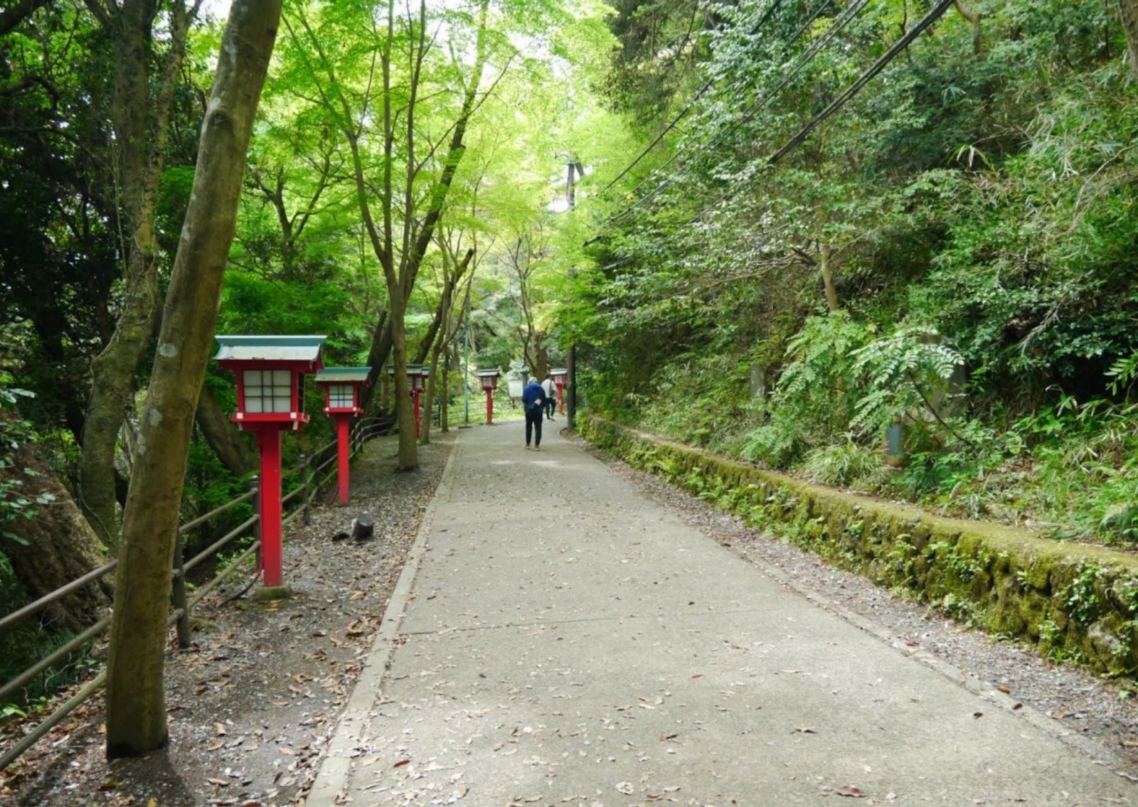 Mount Takao