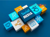 Transform your brand with cutting-edge social media marketing strategies. Viral content creation, precision ad targeting, and influencer partnerships that drive real business results. Expert management across Facebook, Instagram, TikTok, LinkedIn & more.