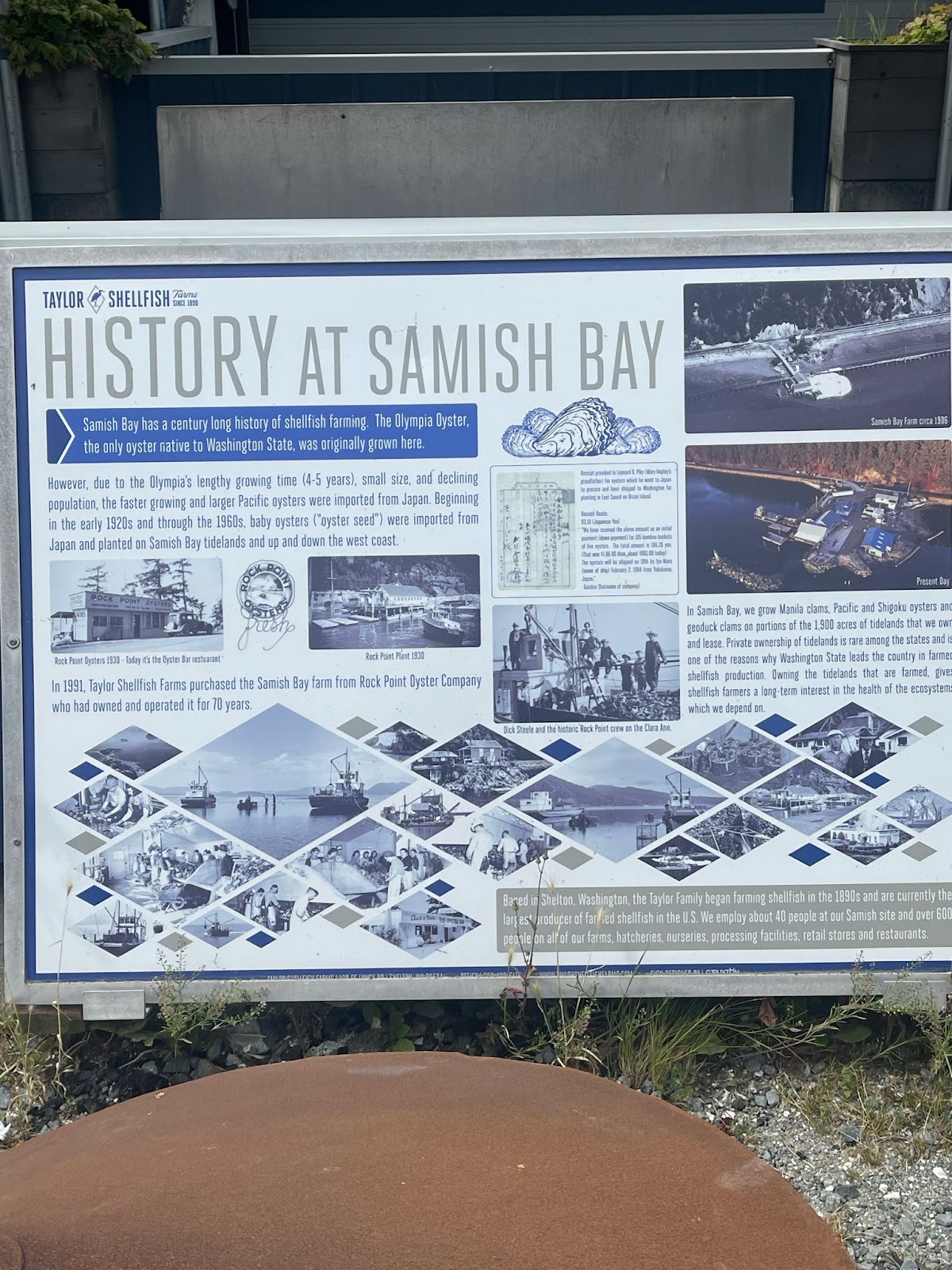 Historical timeline and photos showing the legacy of oyster farming at Samish Bay, home to Taylor Shellfish Farms and the source of the best seafood served in Boise.

Focus keywords: best seafood Boise, Taylor Shellfish Farms history, Samish Bay oysters