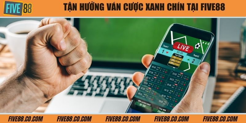 Tận hưởng ván cược xanh chín tại Five88