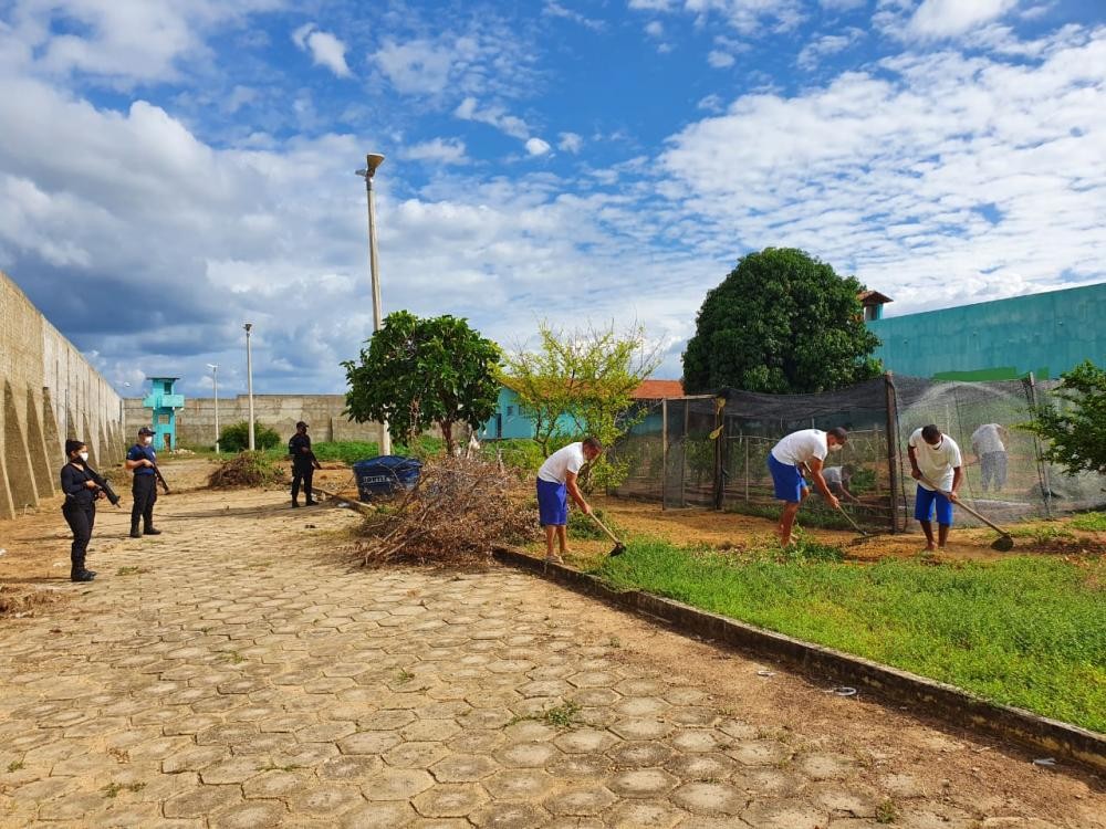 Presos no Piau iro trabalhar para ajudar nas prprias despesas