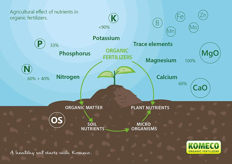 Nutrients in the Organic Fertilizer